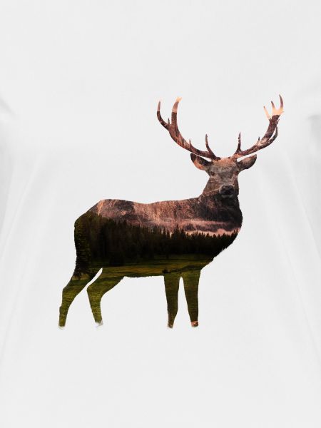 DOLOMITE DEER