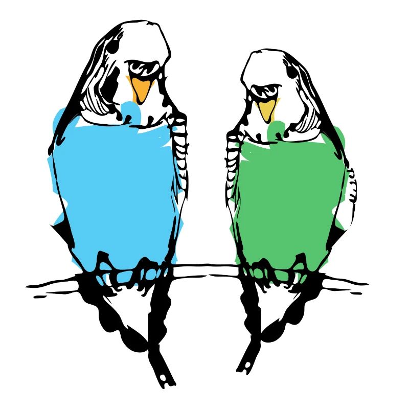 Couple de perruche mignon