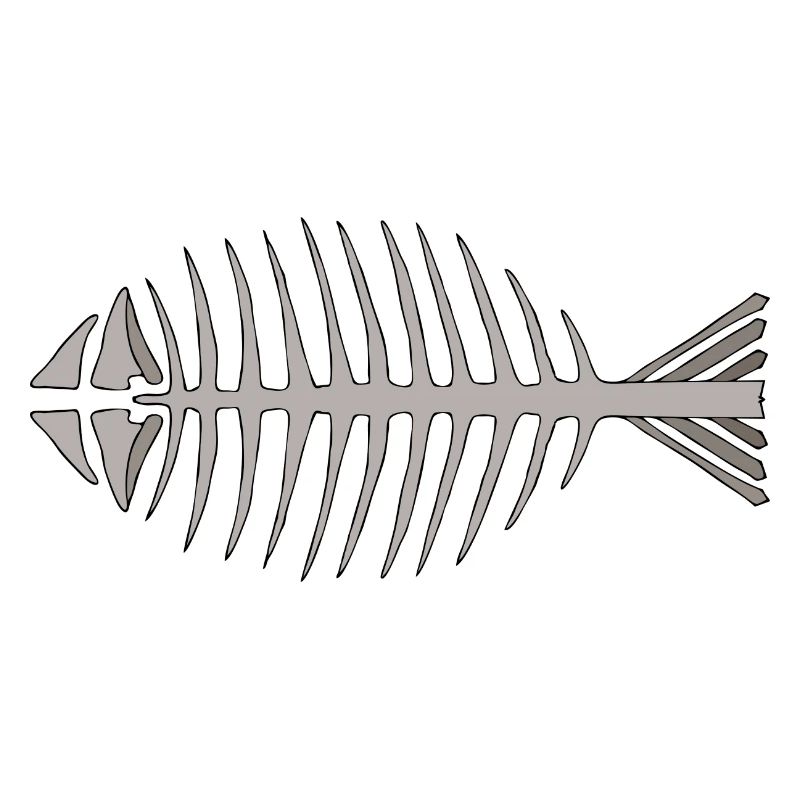 Fish skeleton