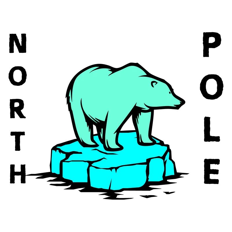 Polar Bear North Pole