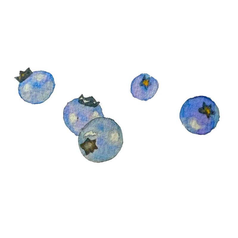 Blueberries