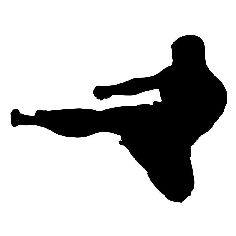 Martial Arts # 7