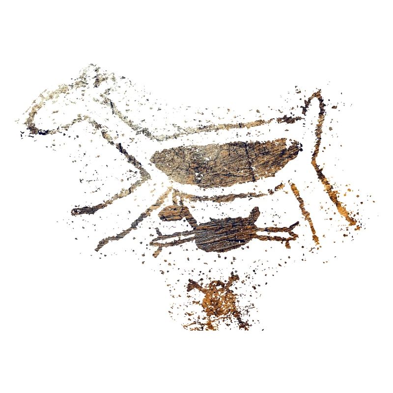 Rock Paintings