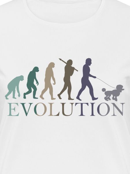 CANICHE ÉVOLUTION