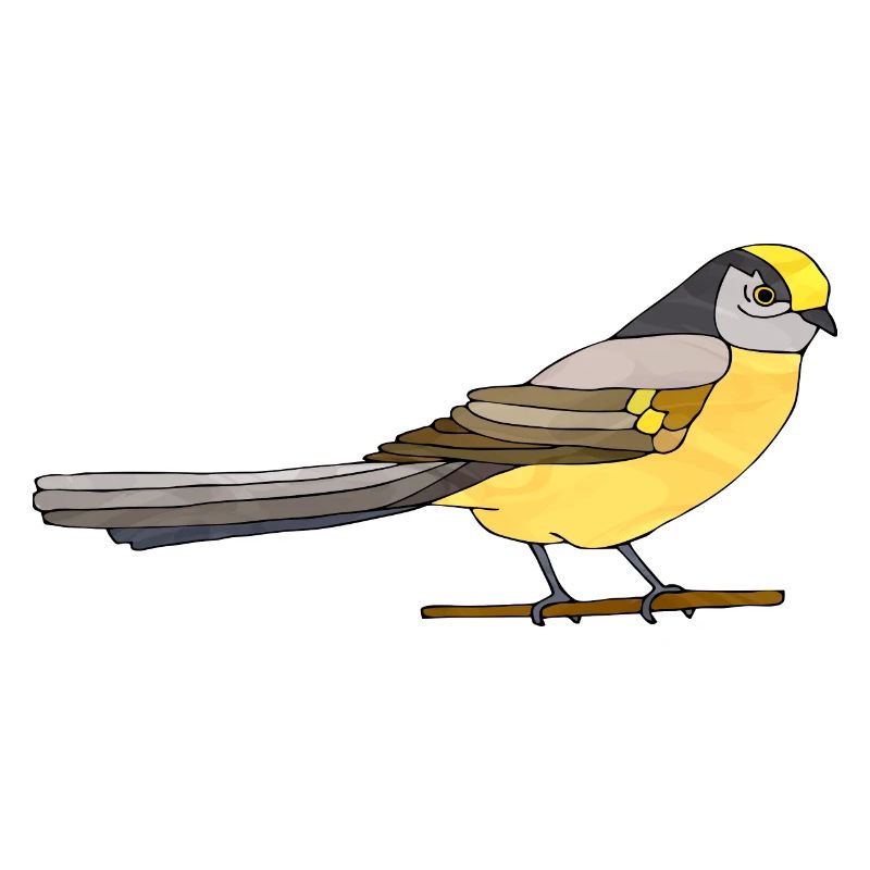 Vogel