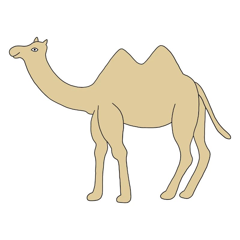 Einsames Kamel