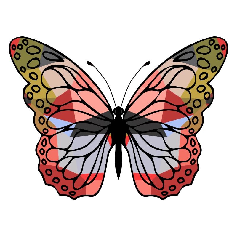 Papillon