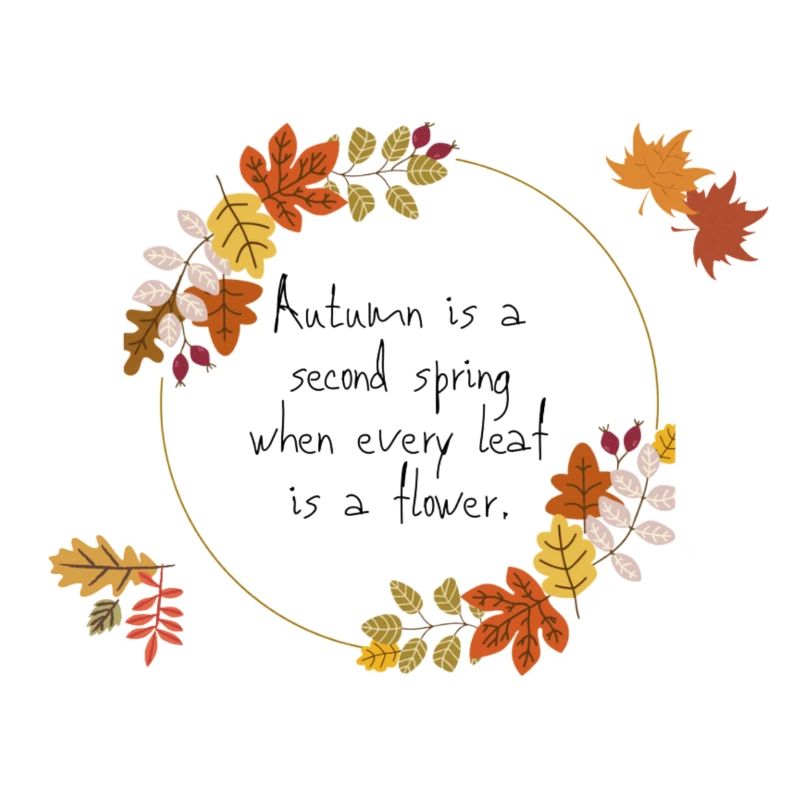 Autumn is a second spring
