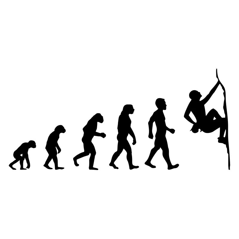 Boulder Evolution
