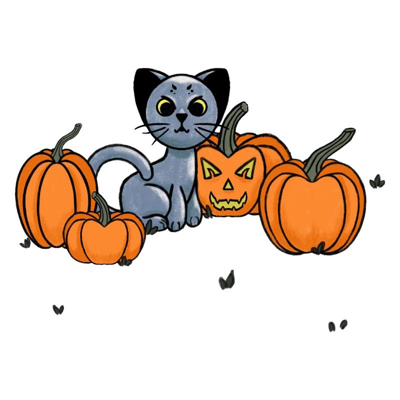 Midnight Cat
