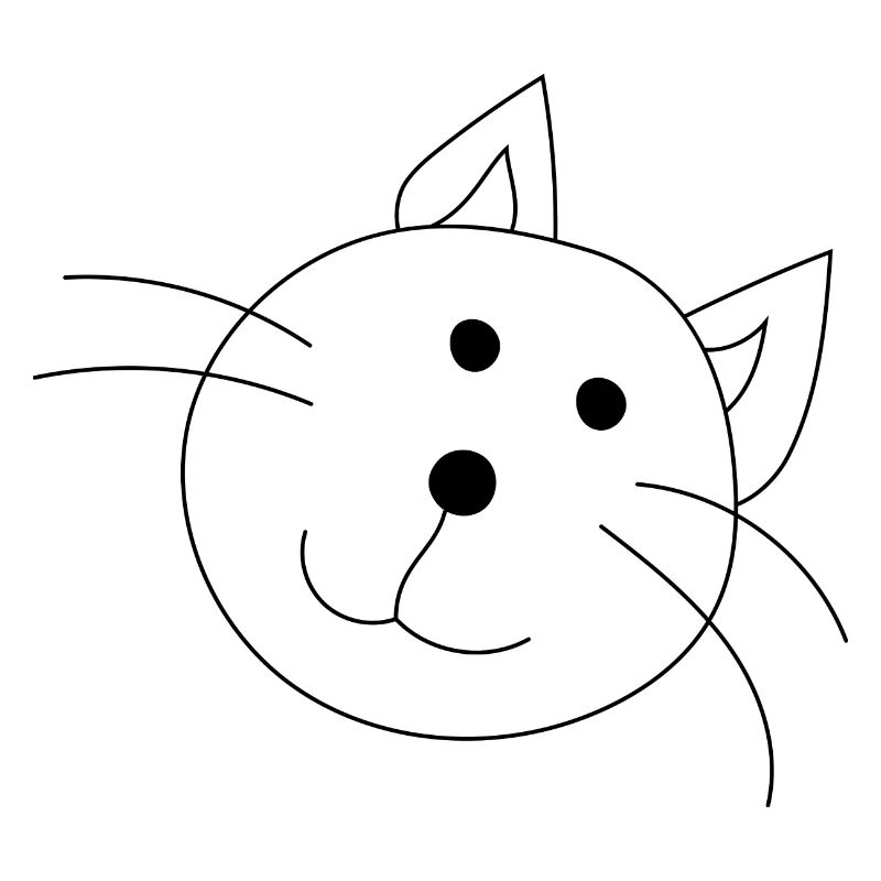 Drôle de chat