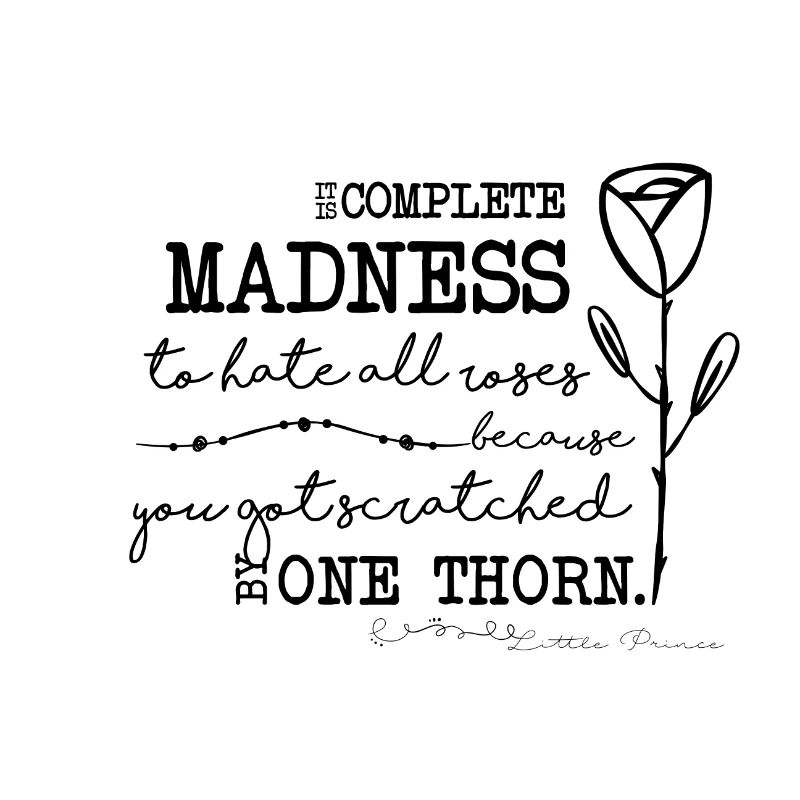 Petit Prince - Citation