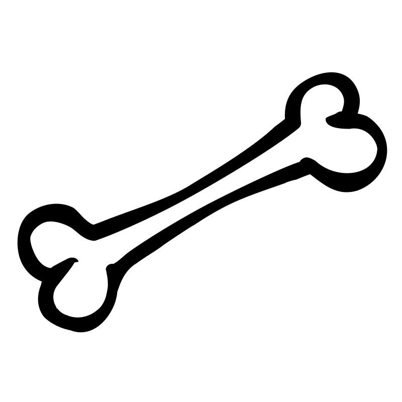 bone_r1