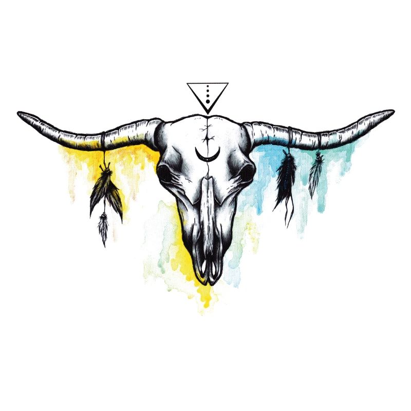 Buffalo skull
