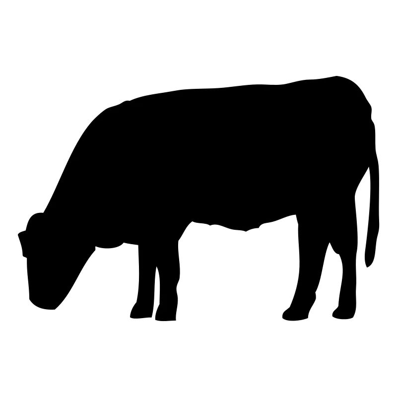 vache