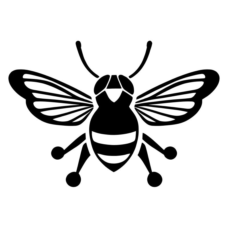 Cicada