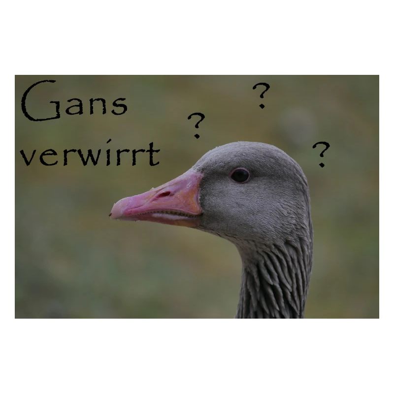 Gans verwirrt - witziger Spruch