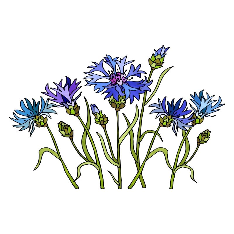Fiori