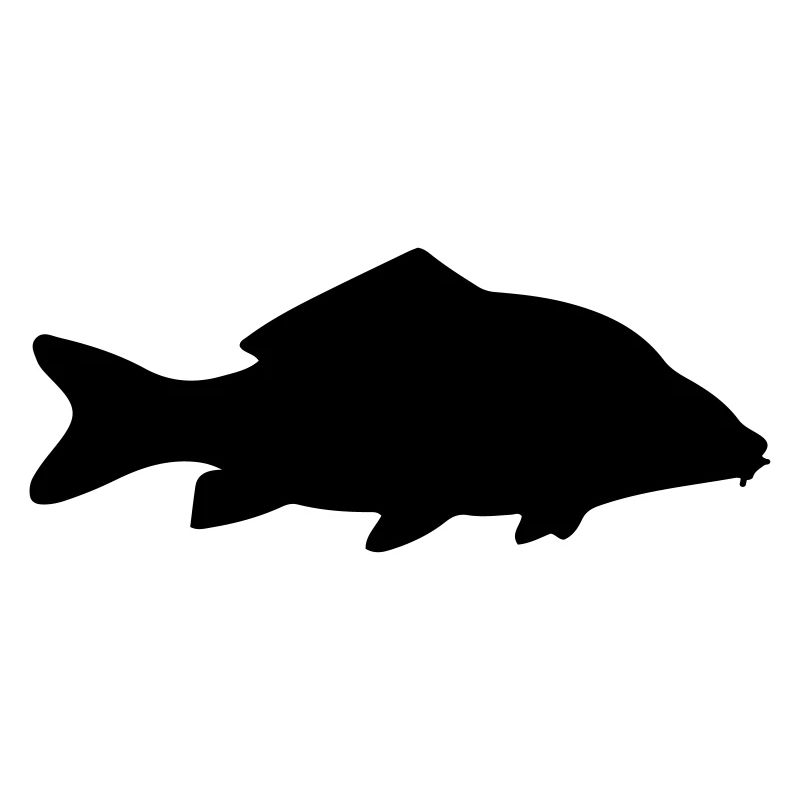 Carpe