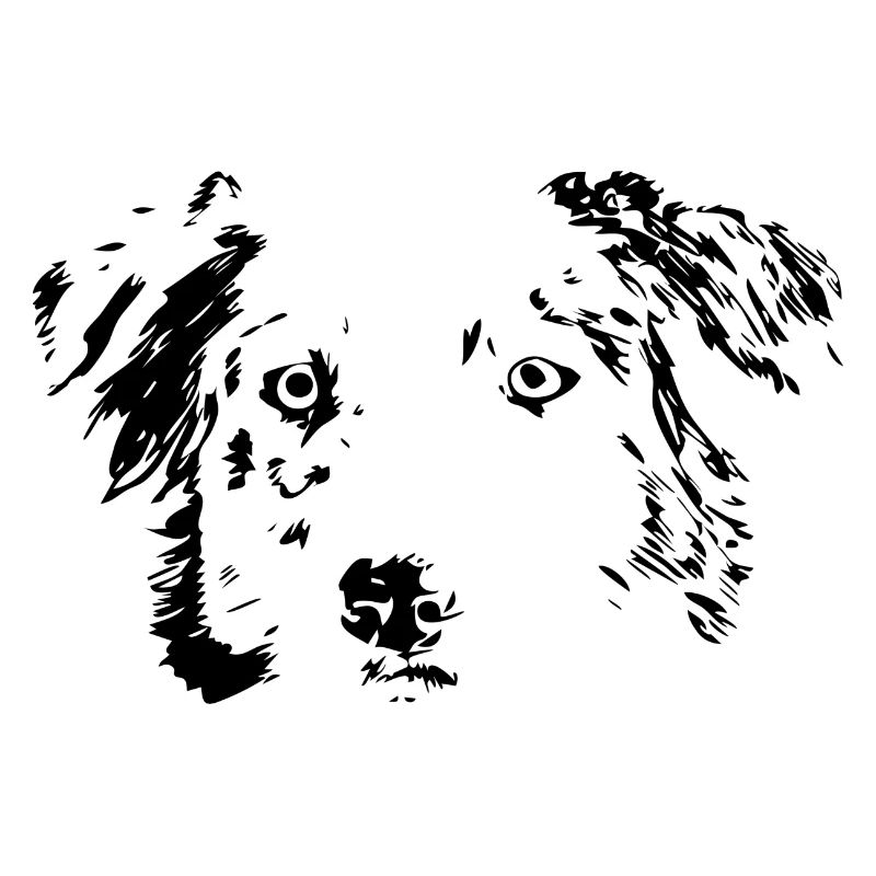 Hund, Geschenk, Australian shepherd, Idee