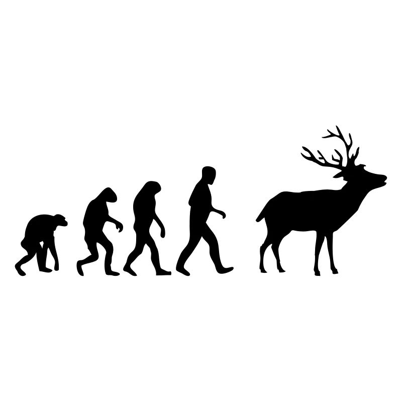 hirsch evolution