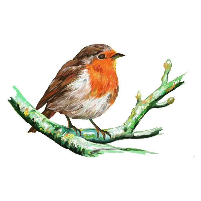 Uccello - Gola Rossa