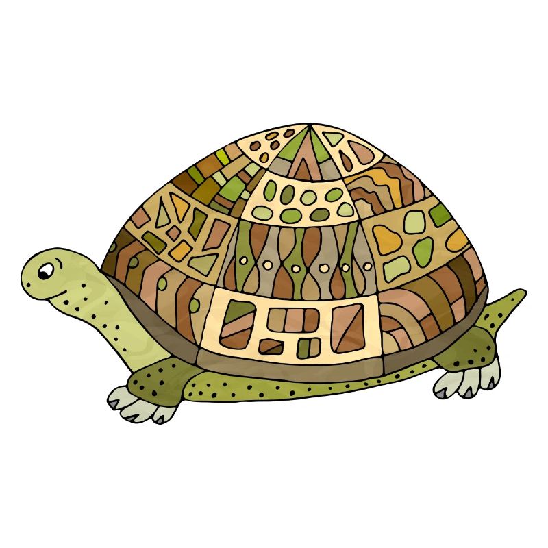 Tortoise