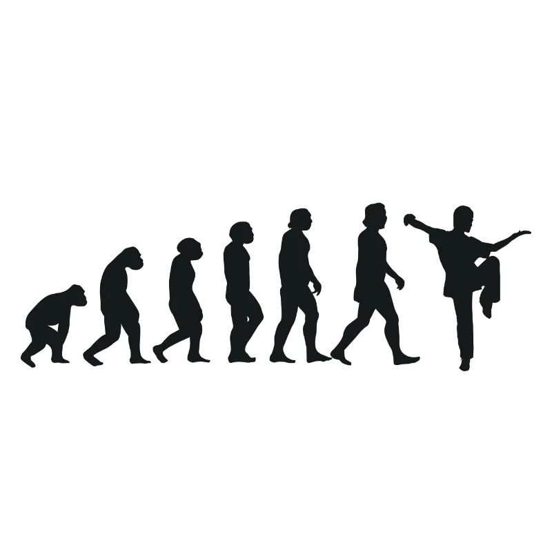 Evolution of Kung Fu
