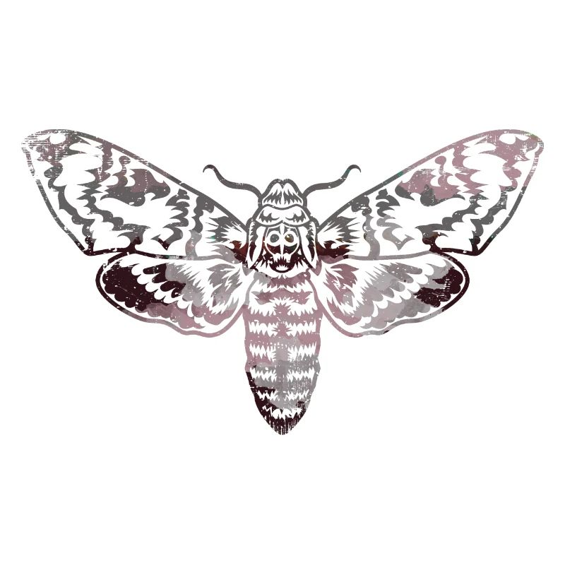 Moth,contour,gris,beige,mite