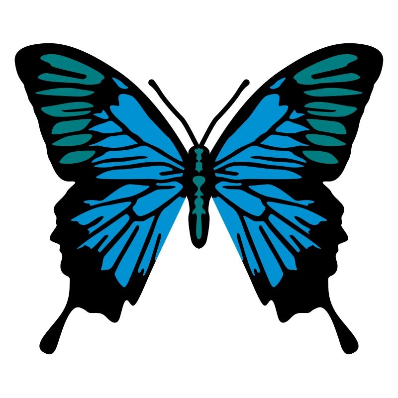Papillon