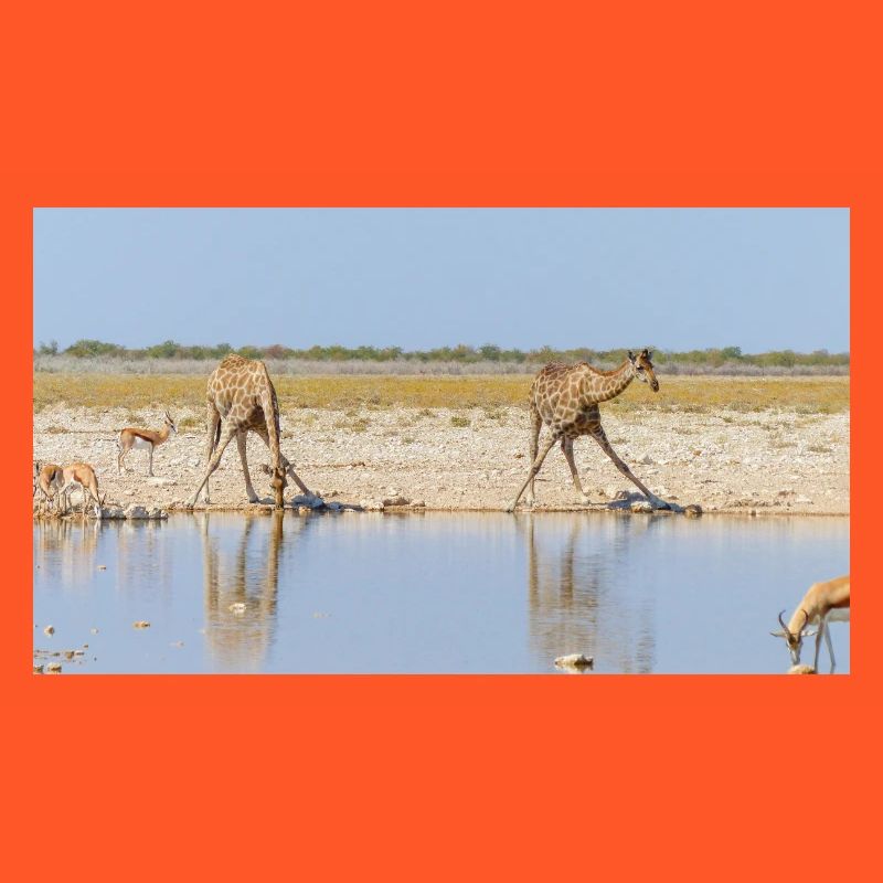 Landschaft am Fluss Cubango mit Giraffe