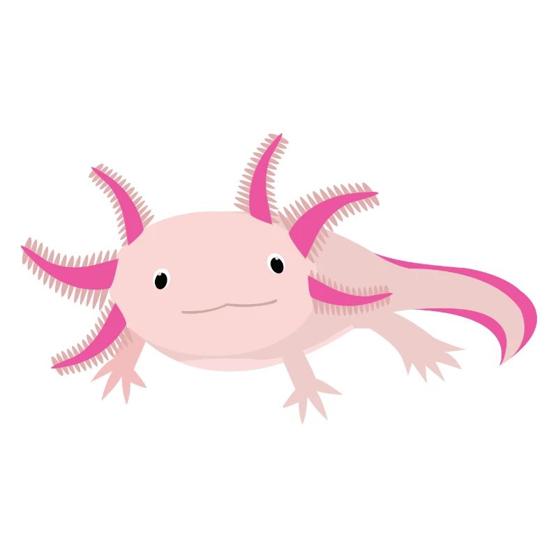 Axolotl