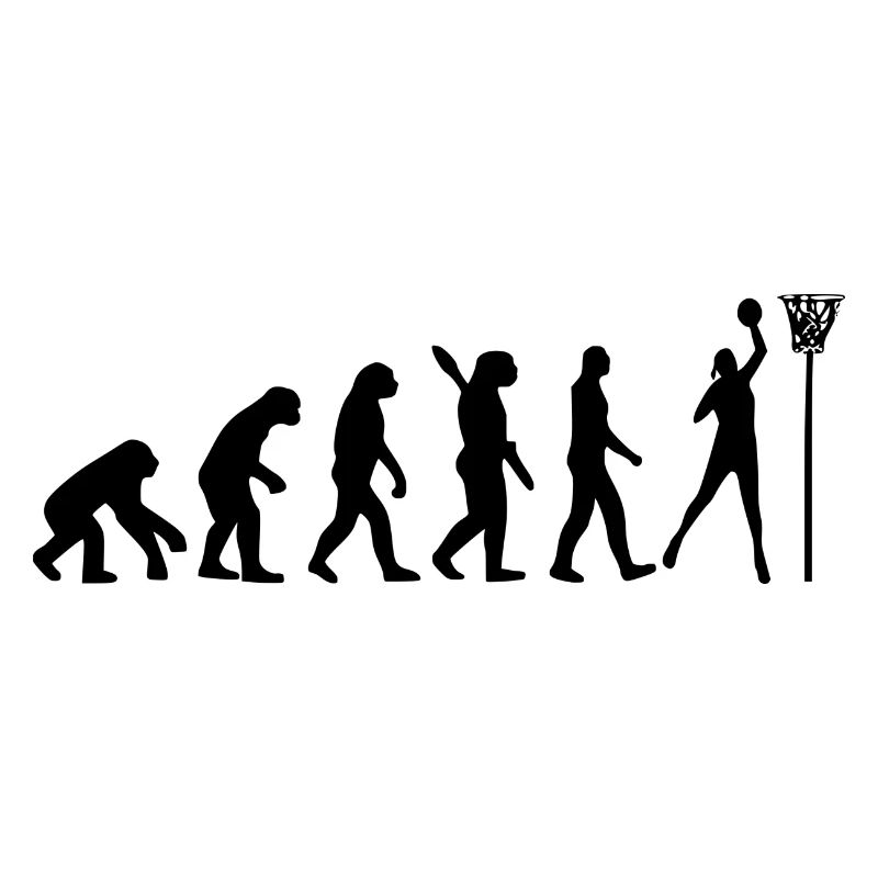 Équipe de basket-ball de basket-ball Evolution