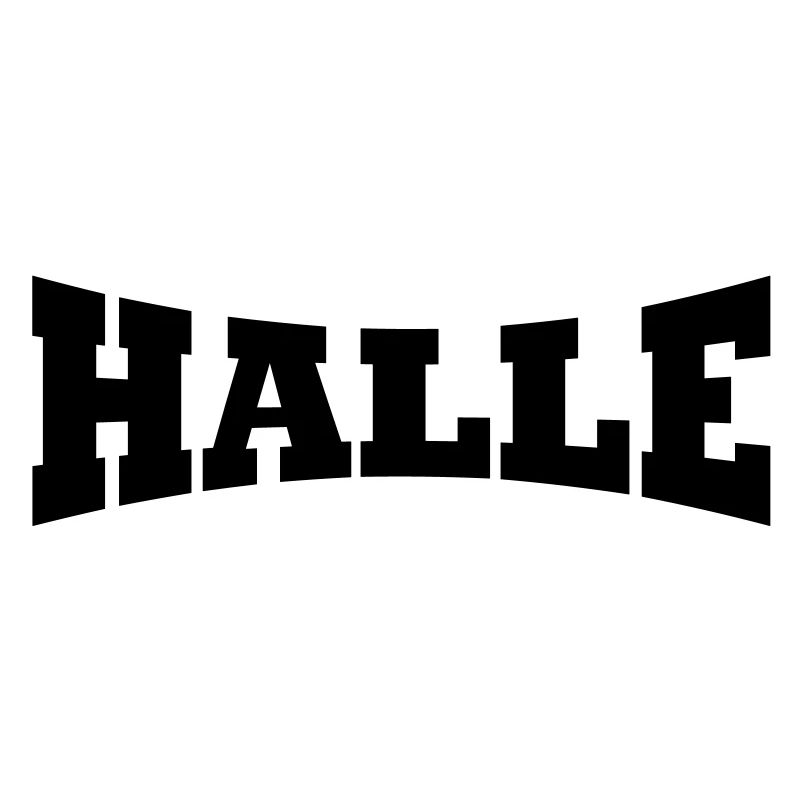 Hall Schiftzug