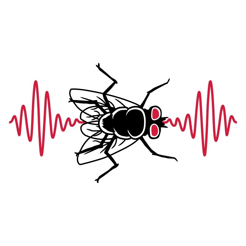Puls Stubenfliege kleine Hausfliege