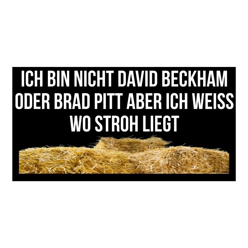 Stroh