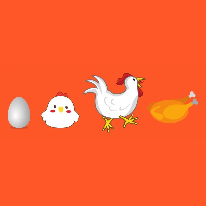 évolution œuf poulet coq poule original