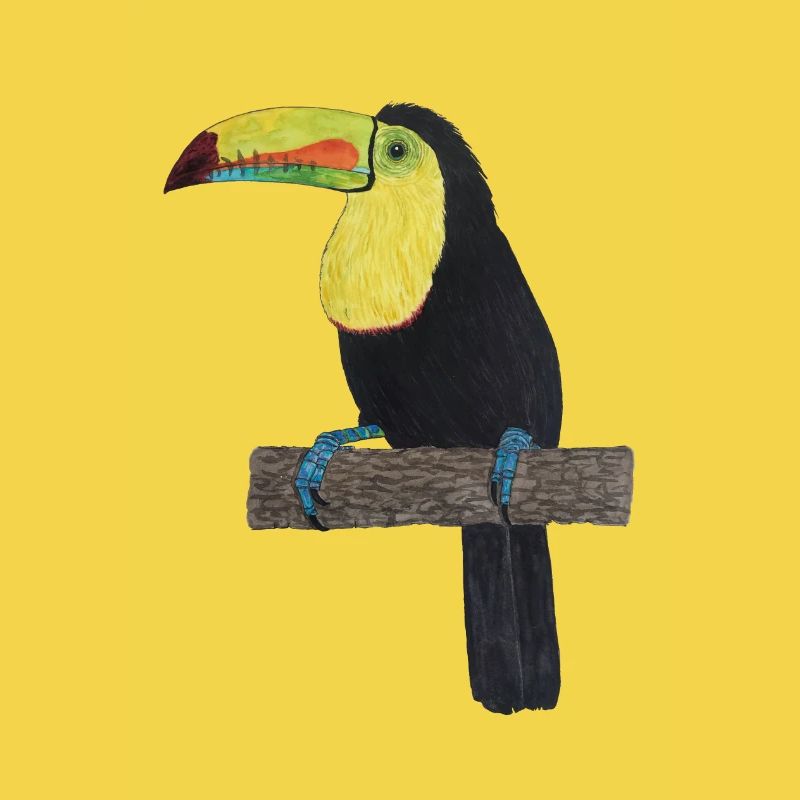 Toucan Jungle Rainforest
