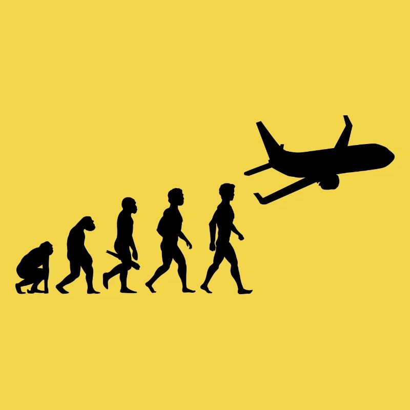 avion volant cockpit aviator pilote d'évolution