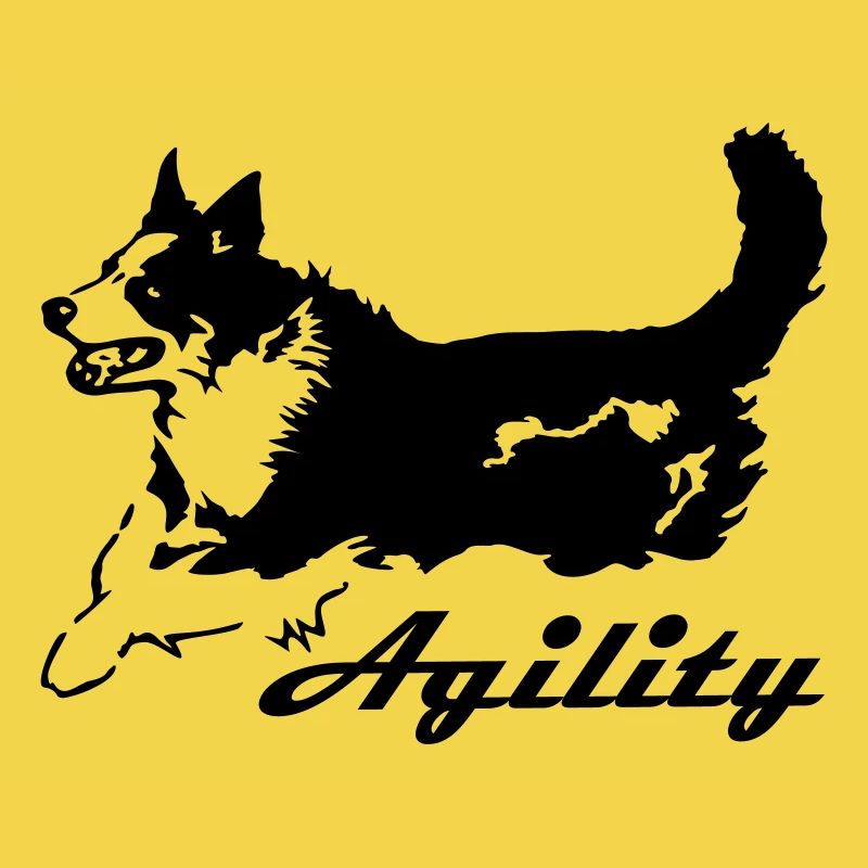 Agilité