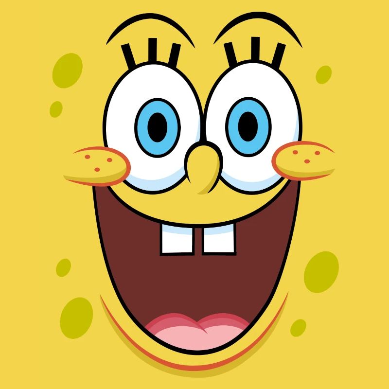SpongeBob SquarePants SpongeBob Costume