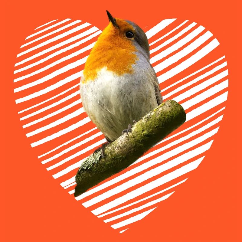 Rotkehlchen Singvogel