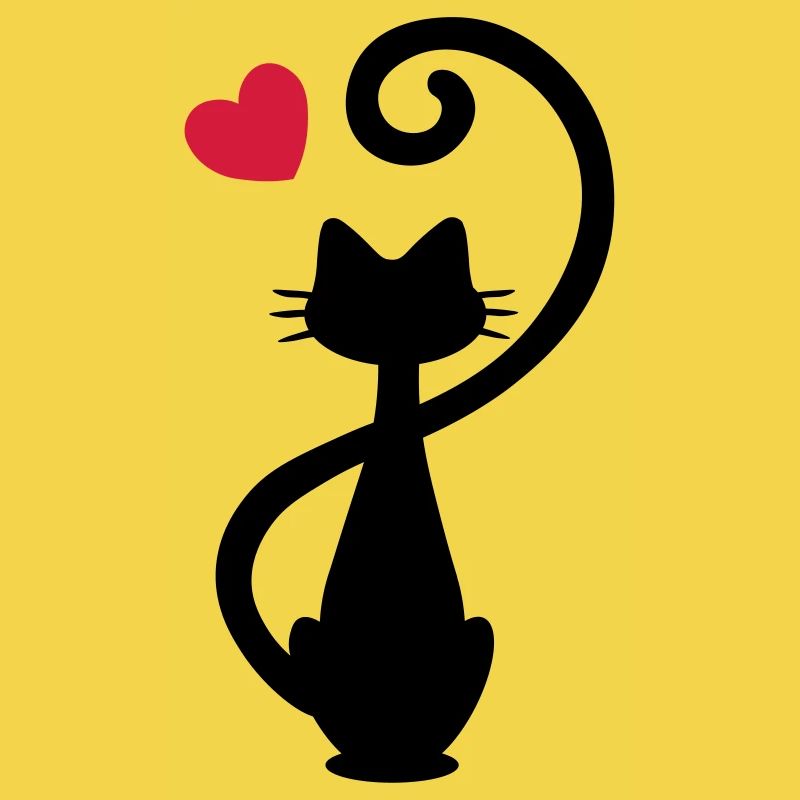 Chat - chat dame - chat - chat - minou