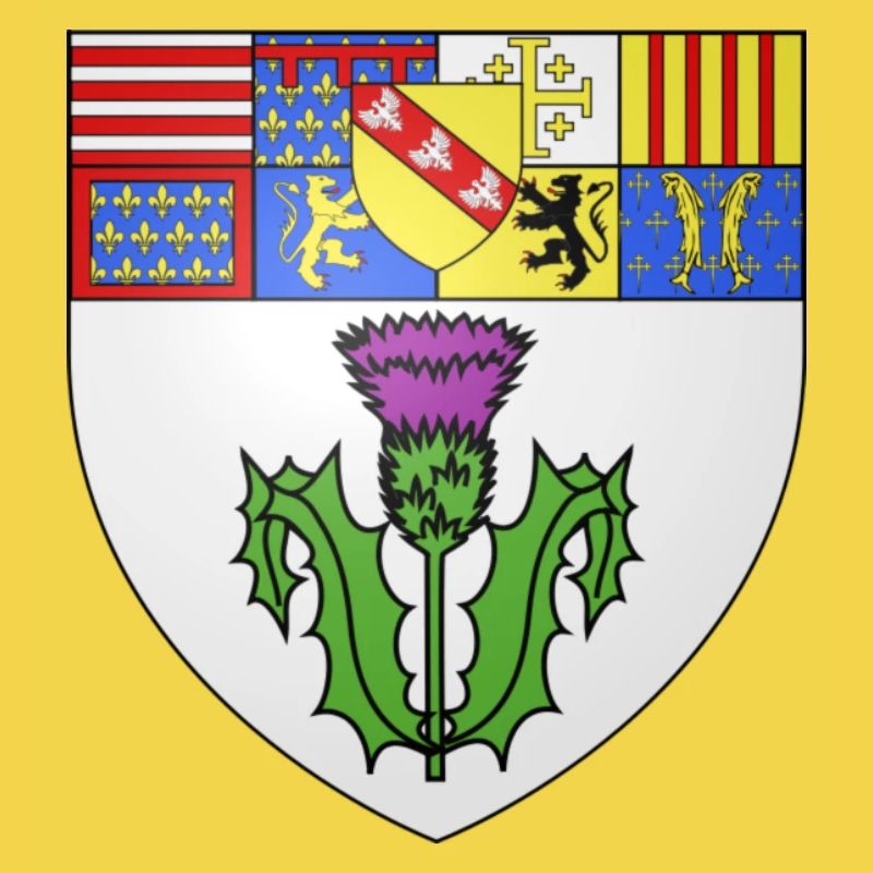 Blason Nancy