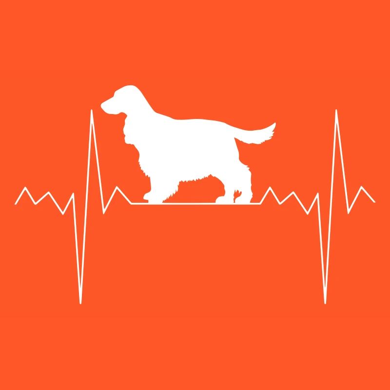 Herzschlag Herzfrequenz Cocker Spaniel