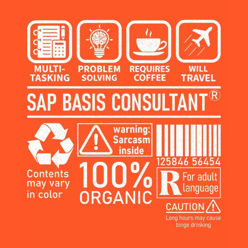 Sap Basis Consultant multi tasking problem solving