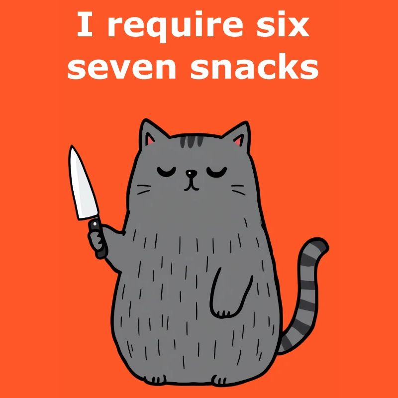 6-7 Internet Meme 6 7 Snack Cat