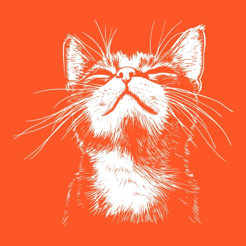 Drôle de Chat