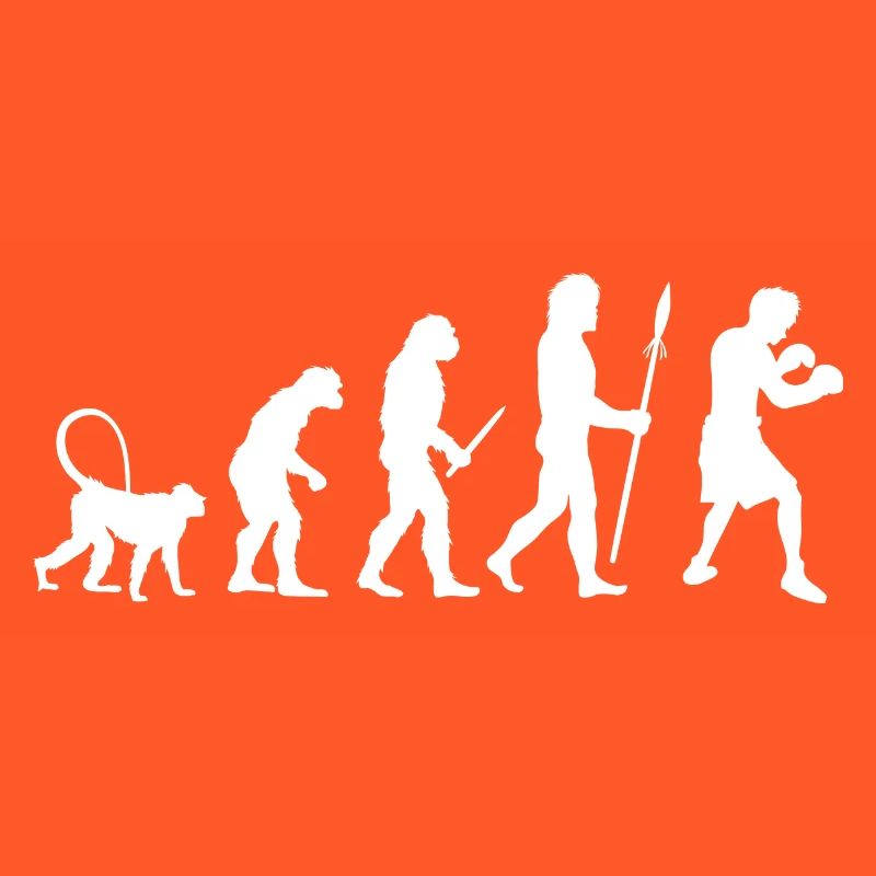 Évolution de la boxe