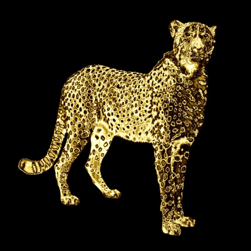 Leopard Goldene Graffiti Kunst